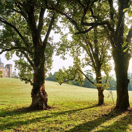 Chateau De Sibra Lagarde  Dış mekan fotoğraf
