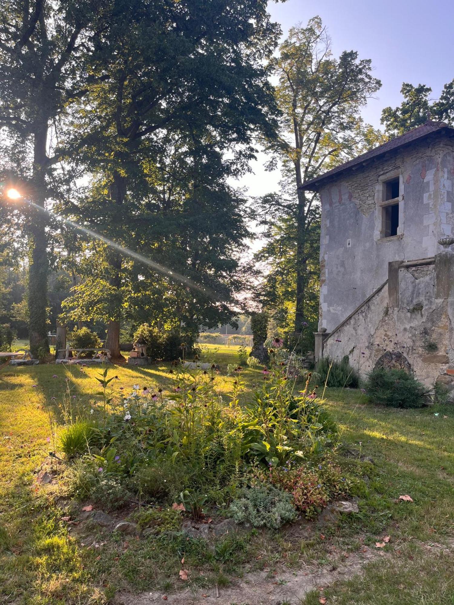 Chateau De Sibra Lagarde  Dış mekan fotoğraf